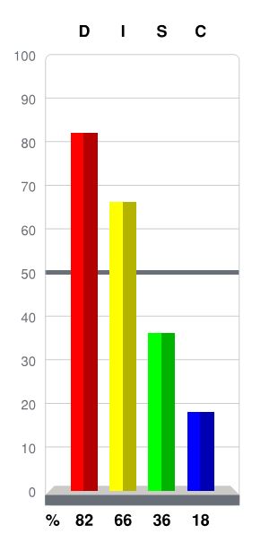 Garrett Feldman DiSC